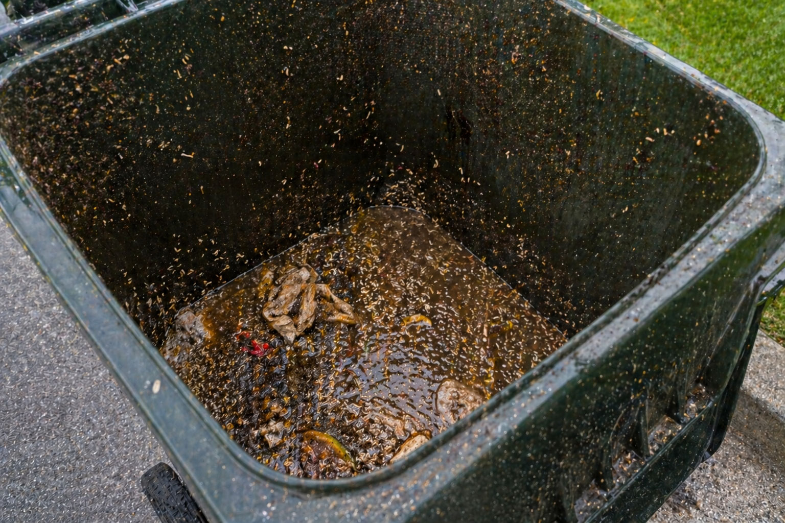 Dirty trash can with maggot and odor problems in Hampton New Hampshire